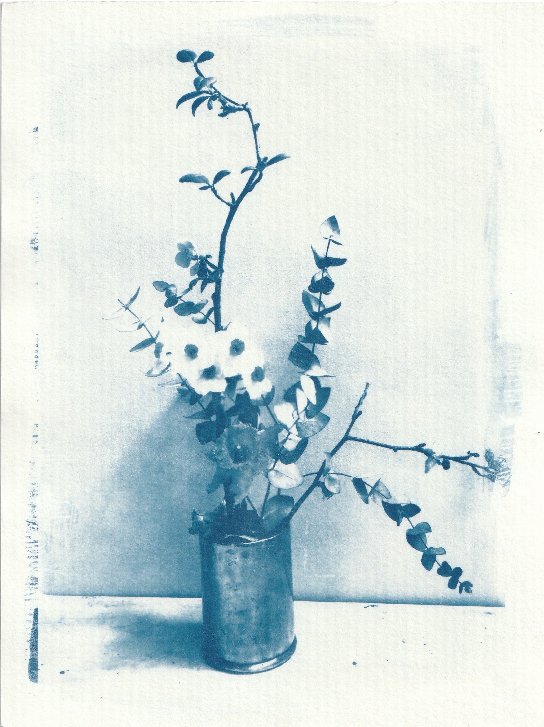 Cyanotype composition florale ikebana