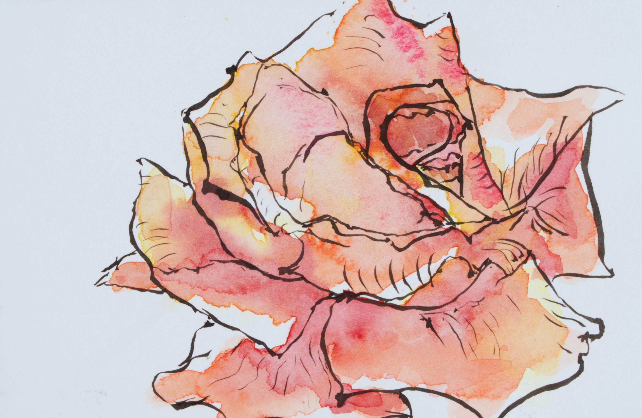 Etegami rose