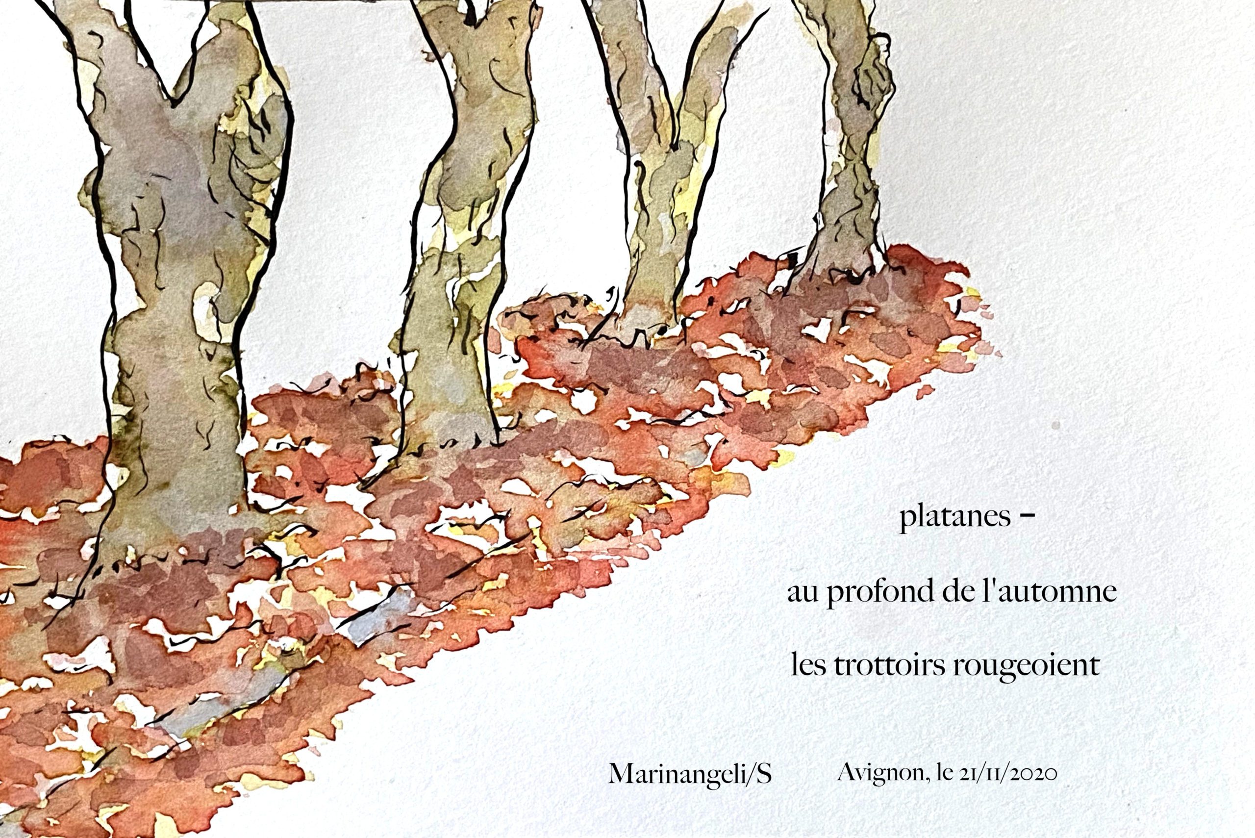 Haïga haiku dessin platanes