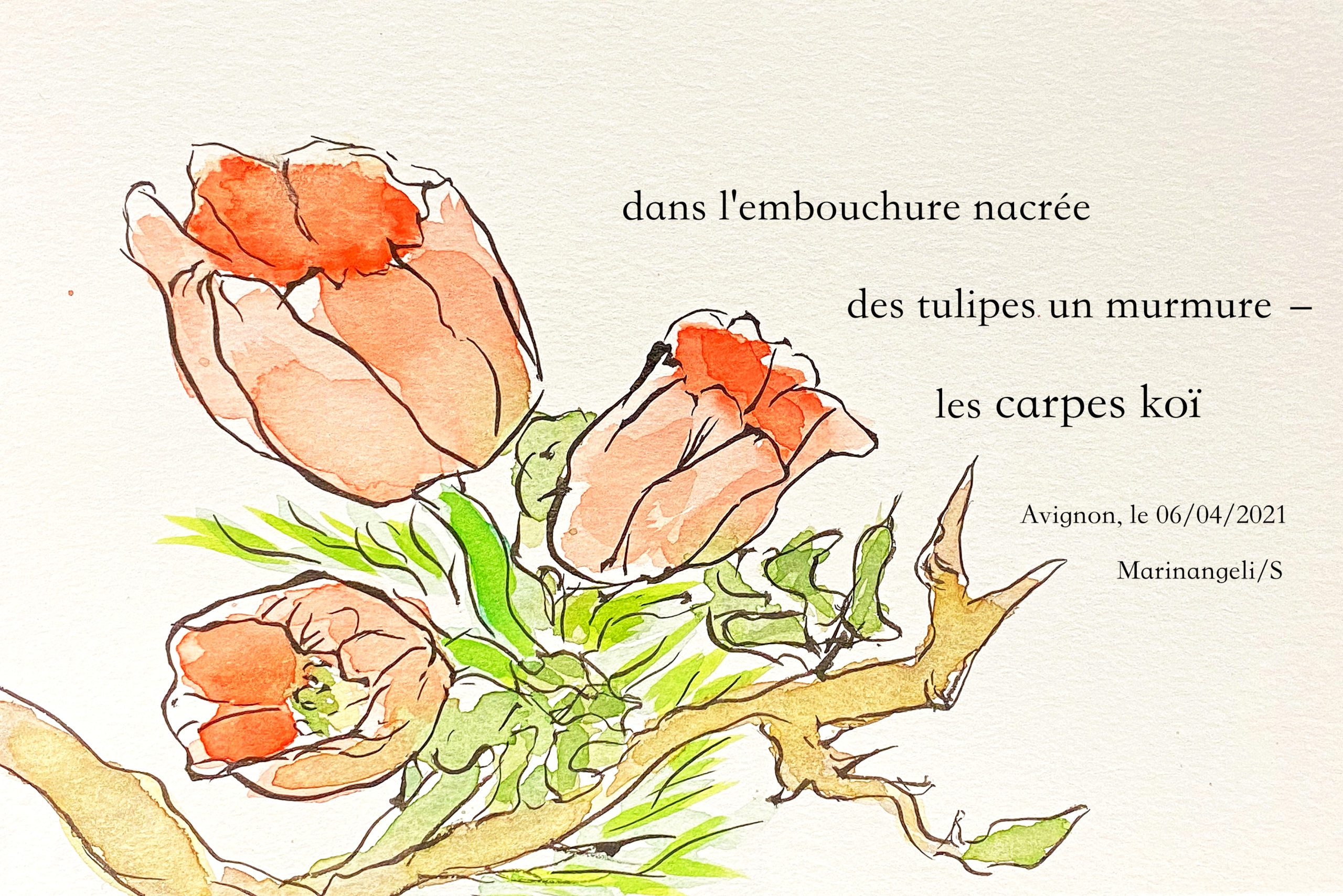 Haïga haiku dessin tulipes