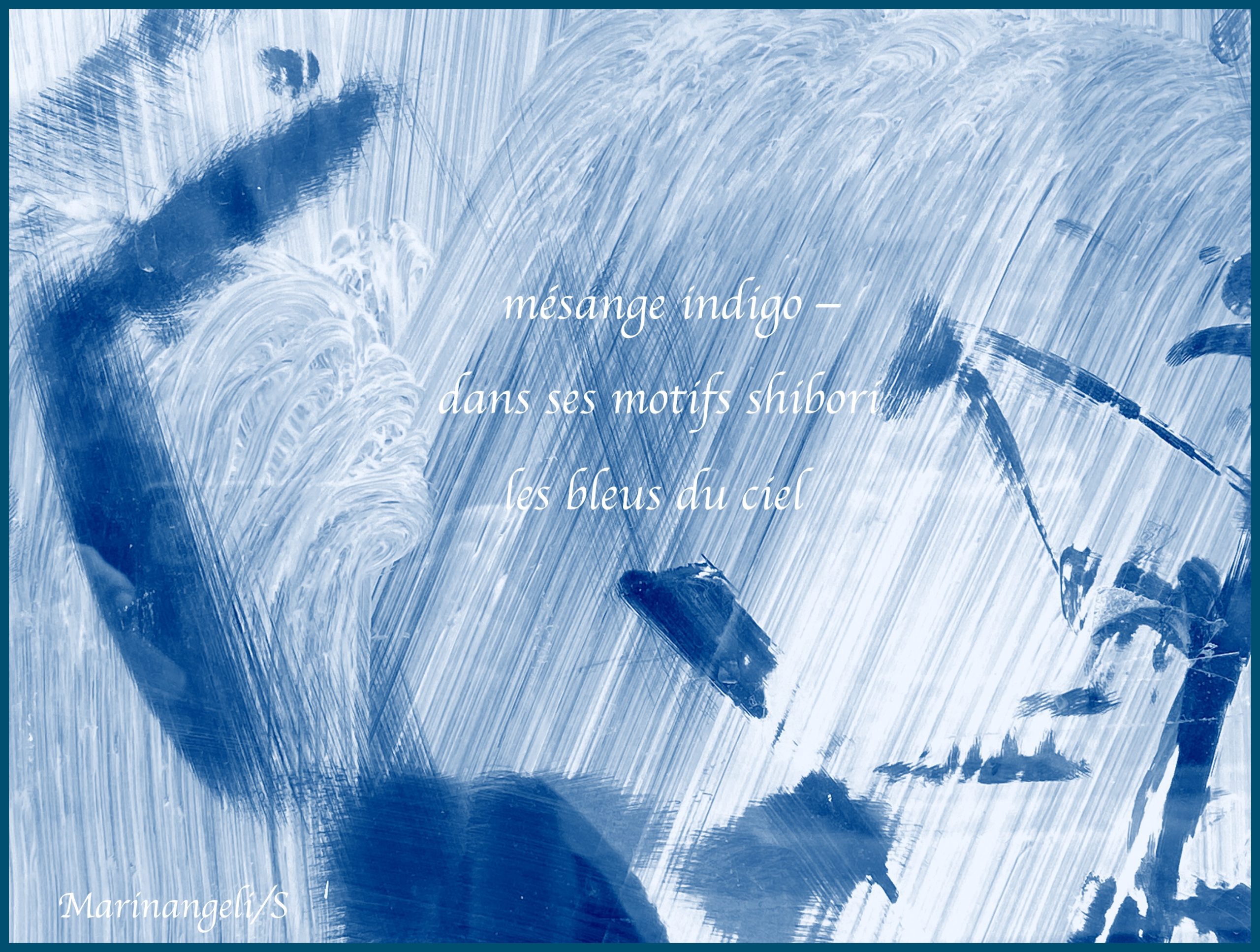 Haisha photo haiku mesange