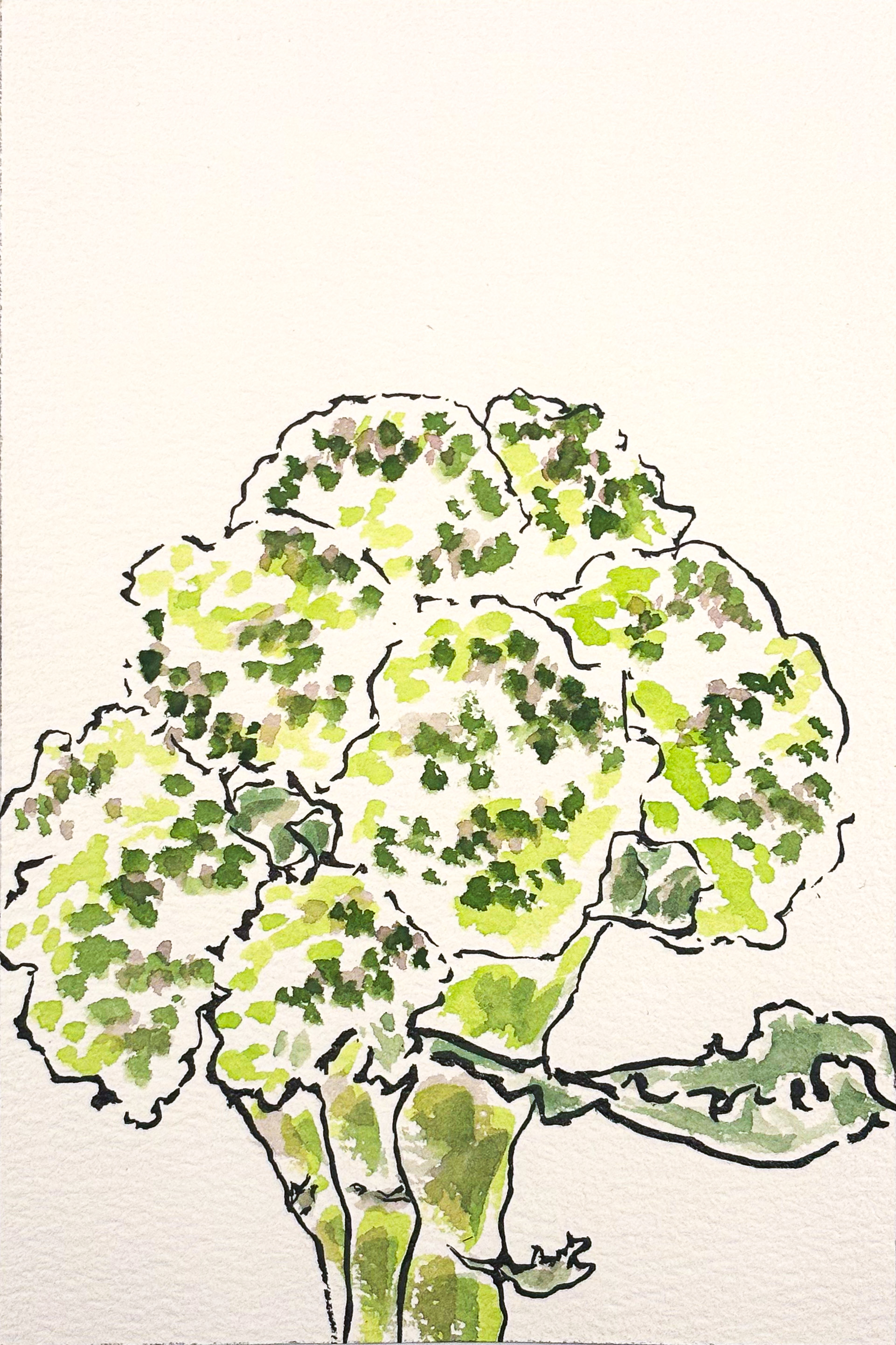 Etegami à personnaliser: le brocoli 1