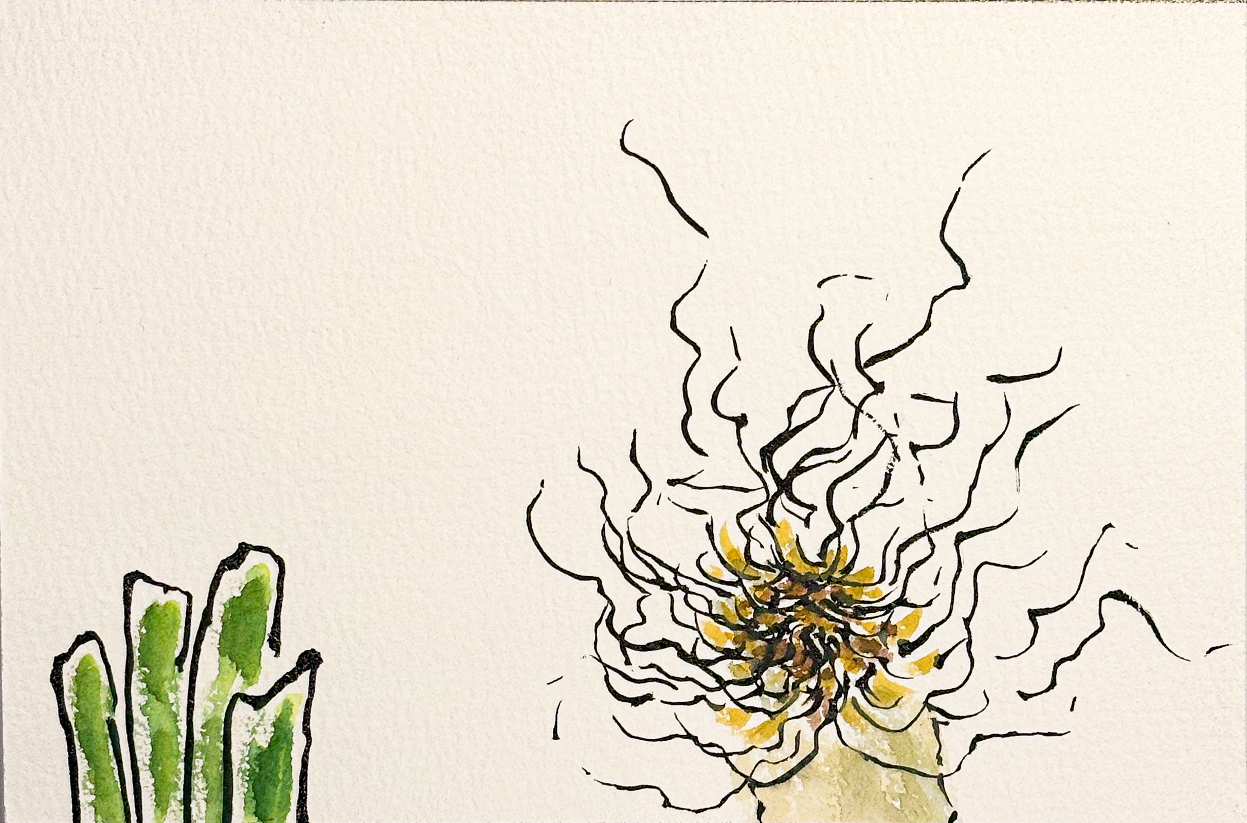 Etegami personnaliser: le poireau